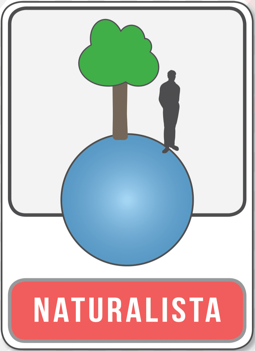 Naturalizmus kép